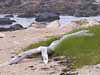 landscape travel image by Diane Rose Landscape Travel Photographs