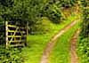 Country lane gate in Winsford Somerset England travel photo by Diane Rose Photography