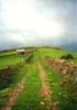 landscape travel photo country lane in Devon by Diane Rose Photographs England