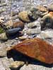 abstract image sea rocks seashore in Acadia National Park, Maine by Diane Rose Photographs