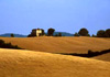 landscape travel image picture photo of Italy, Tuscany, Pitigliano, italian images, by Diane Rose Photography